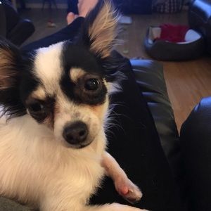 Meet your Posher, Lynn